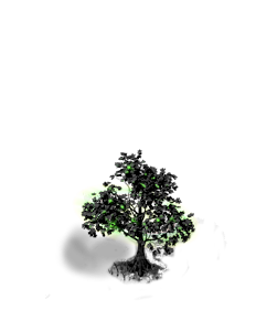 Blacktree (green) Level 3